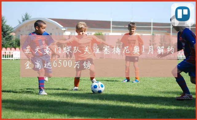 五大豪门球队关注塞梅尼奥1月解约金高达6500万镑