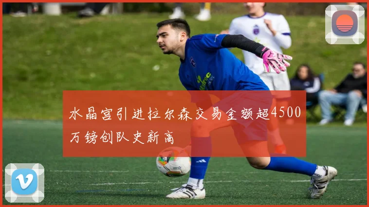 水晶宫引进拉尔森交易金额超4500万镑创队史新高