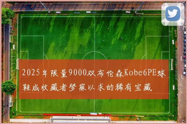 2025年限量9000双布伦森Kobe6PE球鞋成收藏者梦寐以求的稀有宝藏