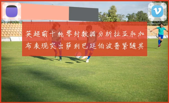 英超前十轮零封数据分析拉亚和加布表现突出萨利巴廷伯波普紧随其后