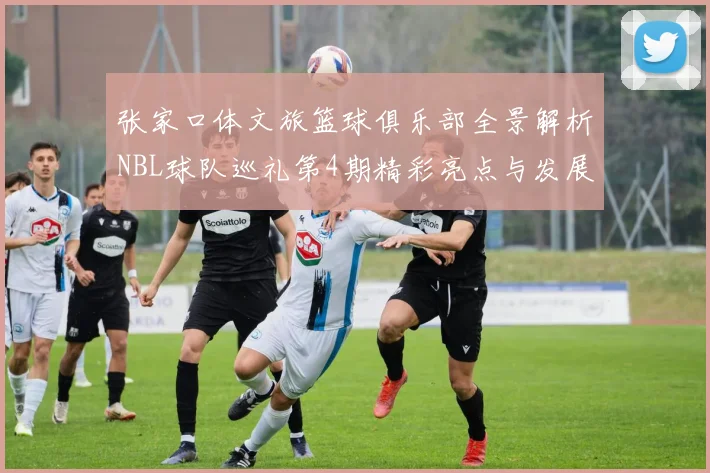 张家口体文旅篮球俱乐部全景解析NBL球队巡礼第4期精彩亮点与发展前景