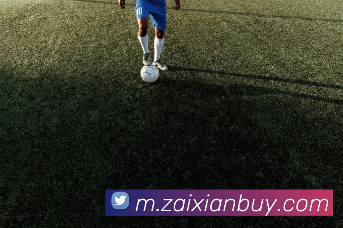 在线买球网站APP 封面图